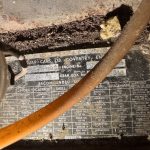 Projects img 4486