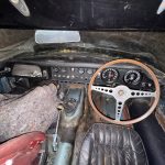 Projects img 4501