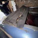 Projects img 4504